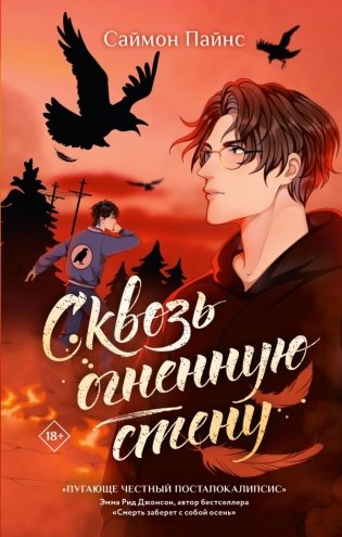Сквозь огненную стену фото книги