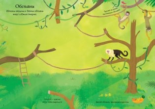 Зоопарк фото книги 2