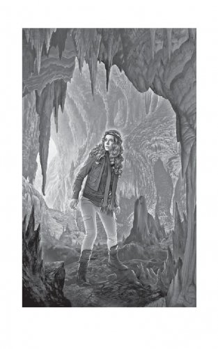 Янтарь лорда демонов. Меченная тьмой фото книги 3