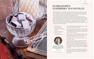 Harry Potter afternoon tea magic фото книги 10