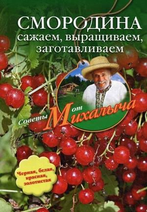 Смородина. Сажаем, выращиваем, заготавливаем фото книги