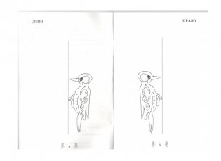 Развитие межполушарного взаимодействия у детей фото книги 3