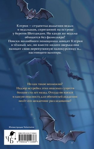 Солнце, уснувшее в ладонях ведьмы фото книги 2