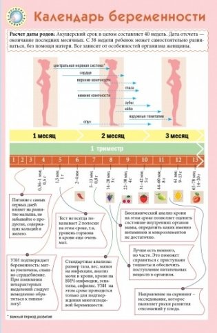 Календарь беременности фото книги