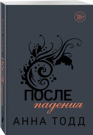 После падения фото книги 2