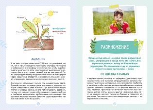 Растения вокруг нас фото книги 5