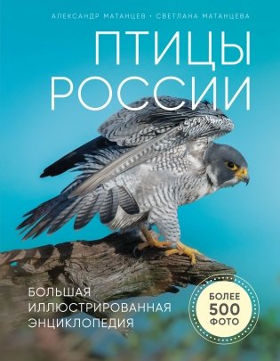 Птицы России. Большая иллюстрированная энциклопедия фото книги