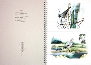 Картотека предметных картинок. Выпуск №9. 3-7 лет. Домашние, перелетные, зимующие птицы. ФГОС фото книги 2