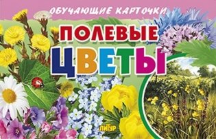 Обучающие карточки. Полевые цветы фото книги