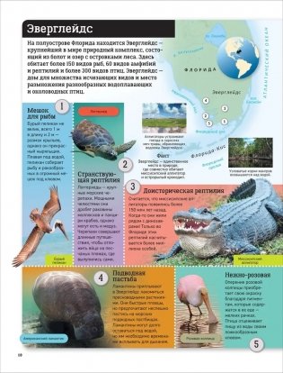 Детский атлас. Животные мира фото книги 5