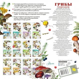 Календарь Грибы 2026 год фото книги 2