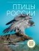 Птицы России. Большая иллюстрированная энциклопедия фото книги маленькое 2