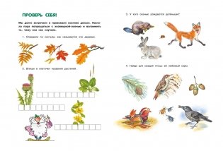 Большая лесная энциклопедия. Знакомимся с природой России фото книги 4