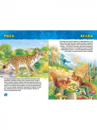 Животные мира. Первая энциклопедия дошкольника фото книги 6