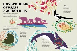 Чудесная книга смерти фото книги 3