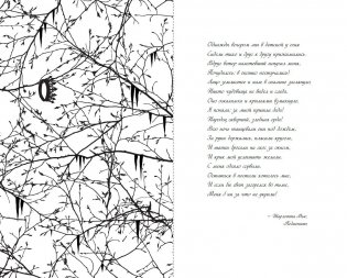 Принц Эльфхейма. Украденный наследник (#1) фото книги 3