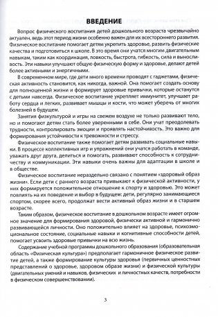 Примерное планирование работы с воспитанниками по формированию умения выполнять элементы спортивной игры хоккей. Старшая группа (5-7 лет). Пособие для педагогических работников учреждений дошкольного образования фото книги 2
