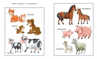 От слова к рассказу. Для детей 2-3 года фото книги 2