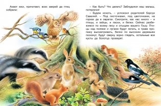 Как ежик Гоша потерялся фото книги 2