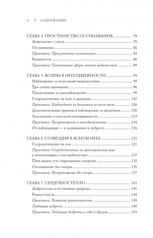 Радикальное спокойствие. Созерцательные практики для глубинного благополучия фото книги 3