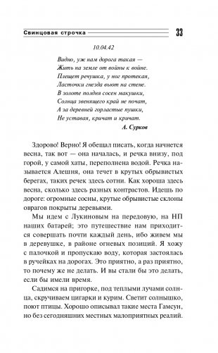 Свинцовая строчка фото книги 34