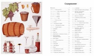 История вина в 100 бутылках. От Бахуса до Бордо и дальше фото книги 3
