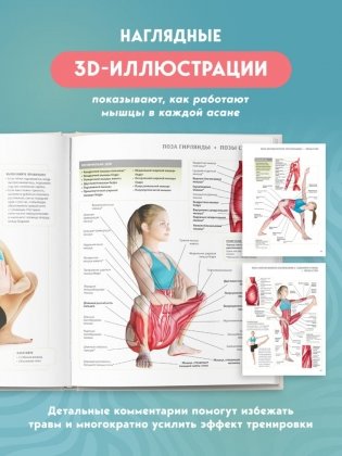 Анатомия йоги. 50 главных асан с анатомическими иллюстрациями, для начинающих и продвинутых фото книги 4