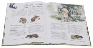 Круглый год фото книги 3