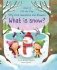 What is Snow? фото книги маленькое 2
