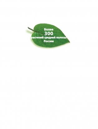 Большая иллюстрированная энциклопедия лекарственных растений фото книги 2