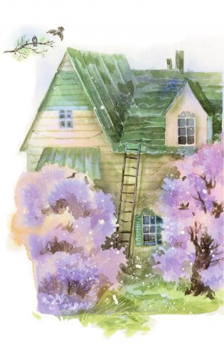 Аня из Зелёных Мезонинов фото книги 5