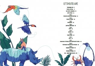 Планета Земля. Мир вокруг нас в инфографике фото книги 4