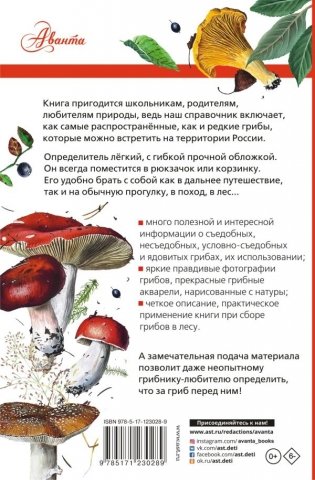 Грибы России фото книги 2