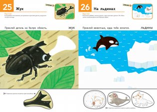 Kumon. Первые шаги. Давай клеить! Забавные животные фото книги 3