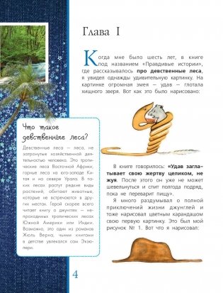 Маленький принц фото книги 8