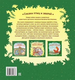 Секрет одной большой компании. Серия «Сказки птиц и зверей» фото книги 4