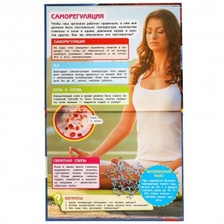 Как устроен человек. Энциклопедия с развивающими заданиями фото книги 5