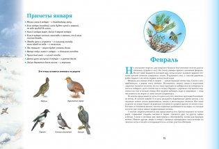 Времена года. Иллюстрированная энциклопедия фото книги 5