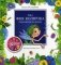 Как фея Колючка перехитрила дождь. Рассказы фото книги маленькое 2