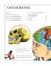 Головной мозг фото книги маленькое 4