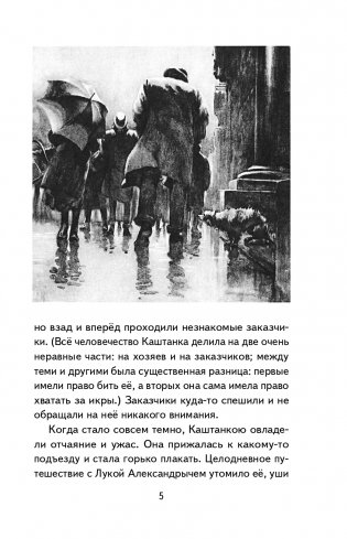 Каштанка. Рассказы (ил. М. Белоусовой, Д. Кардовского) фото книги 6