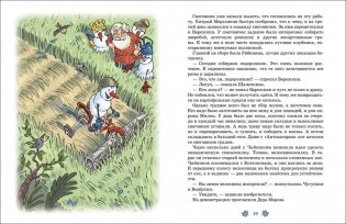 Лето в Дедморозовке фото книги 3