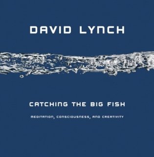 Catching the Big Fish фото книги
