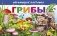 Обучающие карточки. Грибы фото книги маленькое 2