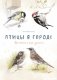 Птицы в городе. Где найти и как узнать фото книги маленькое 2