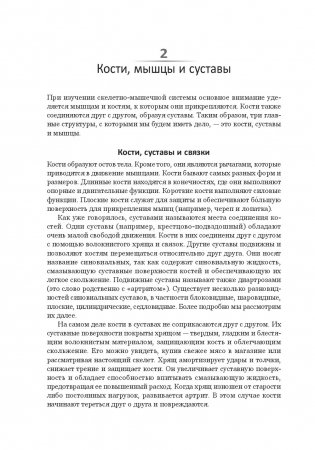 Анатомия тела в движении фото книги 9