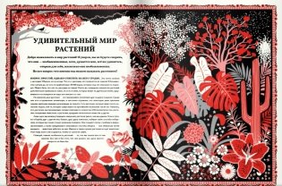 Мир растений фото книги 3