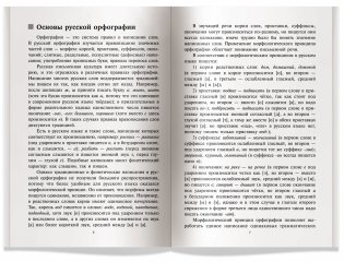 Русский язык. Орфография. Пунктуация фото книги 3