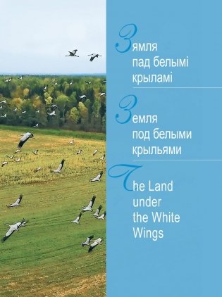 Беларусь. Праз стагоддзі ў будучыню фото книги 7