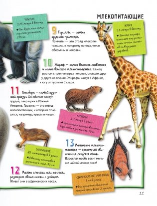Животные фото книги 12